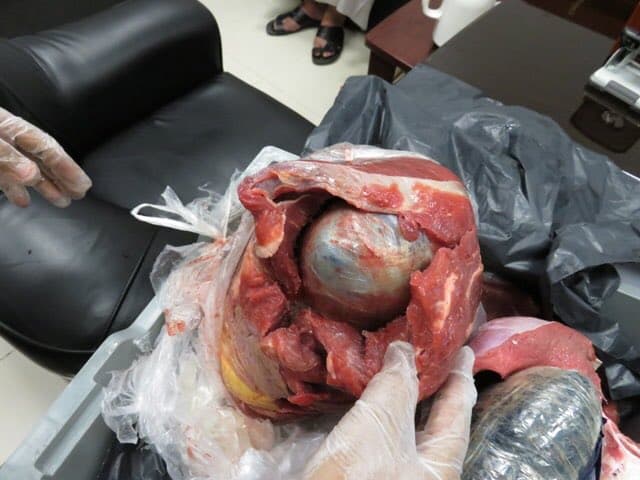 إحباط تهريب 7 آلاف حبة "ترامادول" في مطار الأمير عبدالمحسن في ينبع