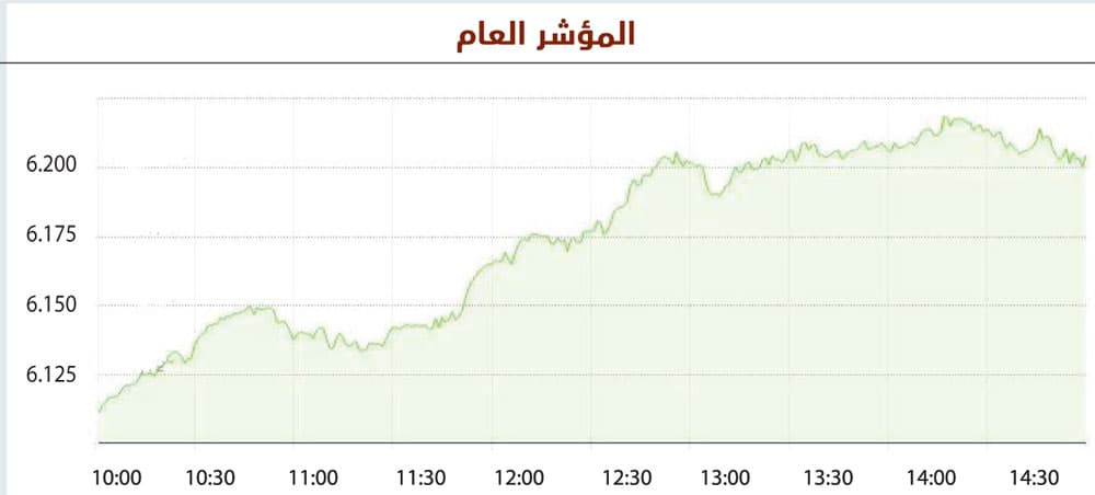 نمو السيولة 56 % يقود الأسهم السعودية لتحقيق أفضل أداء في 4 أشهر
