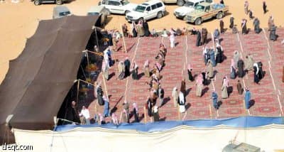 "الطائر" السعودي يزيد الراجحي يفوز في باها حائل السعودي