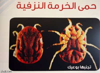 الصحة: تسجيل 7 حالات مصابة بمرض حمى الخرمة النزفية في مكة ونجران