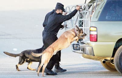 ولي العهد: لا يدخل خزانة الدولة ريالٌ واحدٌ من الحجاج