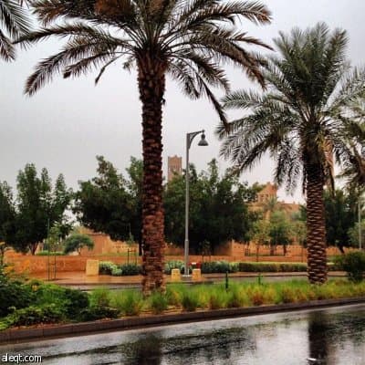 قصة مصورة :أمطار الرياض صباح اليوم