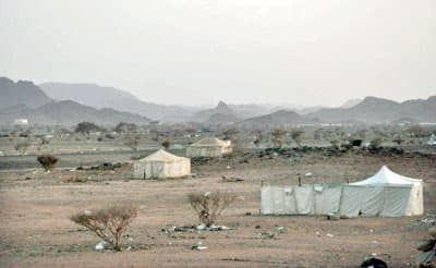 «النقل» لـ «أمانة المدينة»: أزيلوا حظائر الماشية عن أرضنا