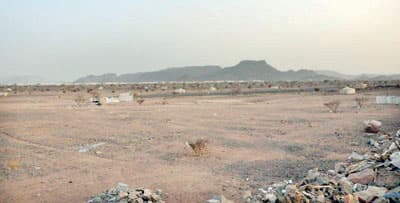 «النقل» لـ «أمانة المدينة»: أزيلوا حظائر الماشية عن أرضنا