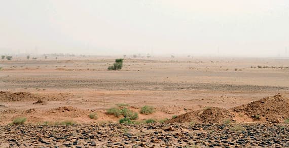 وزارة الإسكان ترفض تسلُّم 20 % من «أرض الدفاع» في حائل