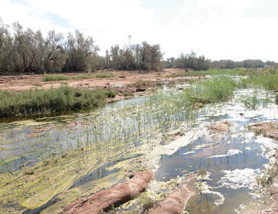 أمانة حائل تخلي مسؤوليتها من تلوث «الأديرع» .. وتلقي بالكرة في ملعب «المياه»