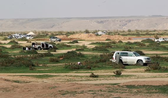 قصة مصورة : الأمطار والطبيعة الخلابة تجذب سكان الرياض لزيارة روضة نورة