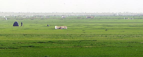 قصة مصورة : الأمطار والطبيعة الخلابة تجذب سكان الرياض لزيارة روضة نورة