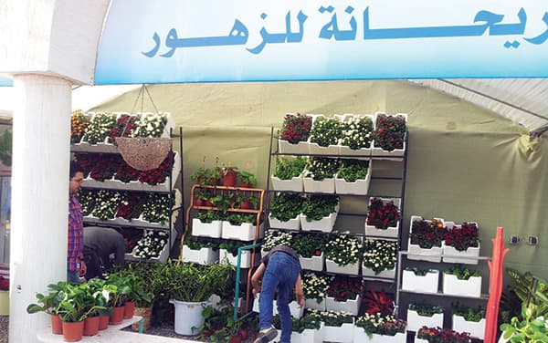 «الزهور» في المدينة المنورة .. أروع الأفكار
من أبسط الأشياء