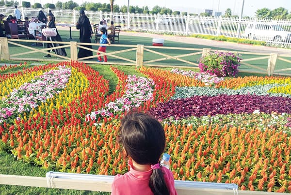 «الزهور» في المدينة المنورة .. أروع الأفكار
من أبسط الأشياء