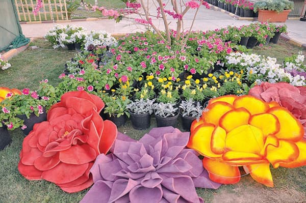 «الزهور» في المدينة المنورة .. أروع الأفكار
من أبسط الأشياء