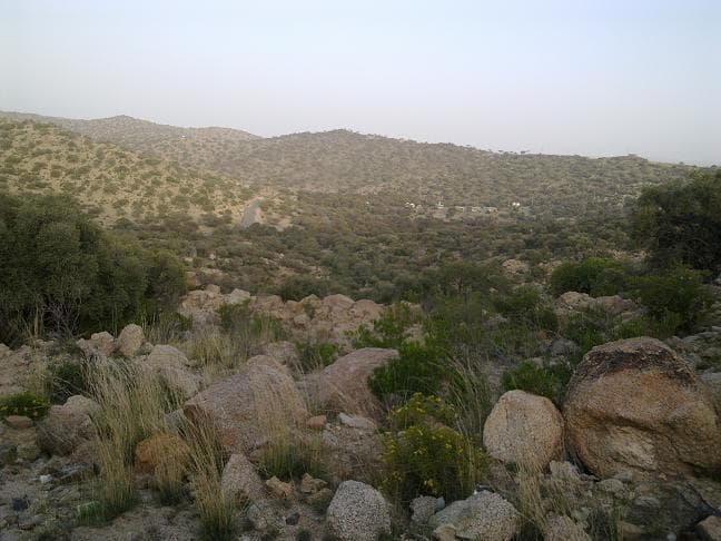 هيئة السياحة توقع اتفاقية تصميم وتخطط منتزه "شيبانه" في بلقرن