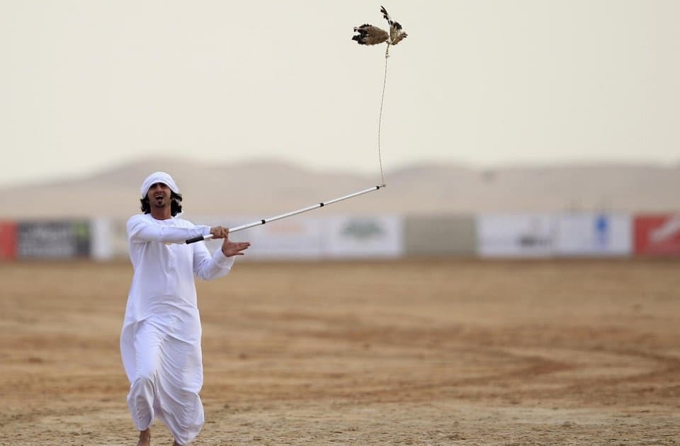 أبوظبي تنظم أكبر مهرجان في العالم للصيد بالصقور ديسمبر المقبل