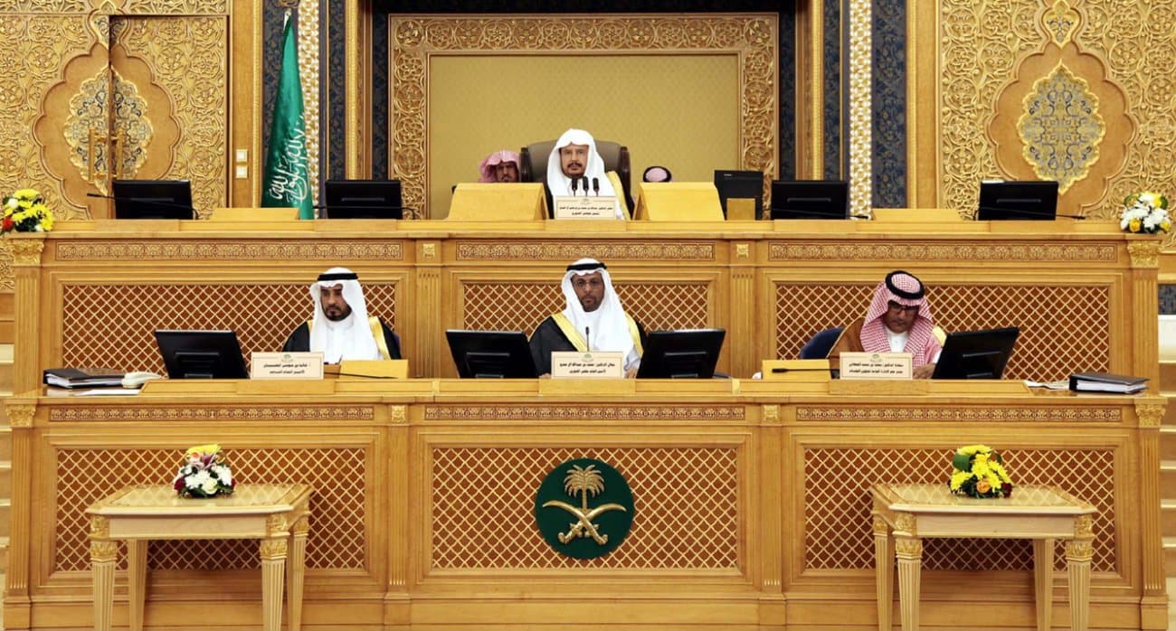 "الشورى" يطالب بتحويل "رئاسة الشباب" إلى وزارة