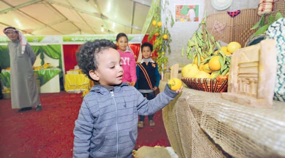 «حمضيات العُلا» يعرِّف الزوّار بنهضتها التنموية