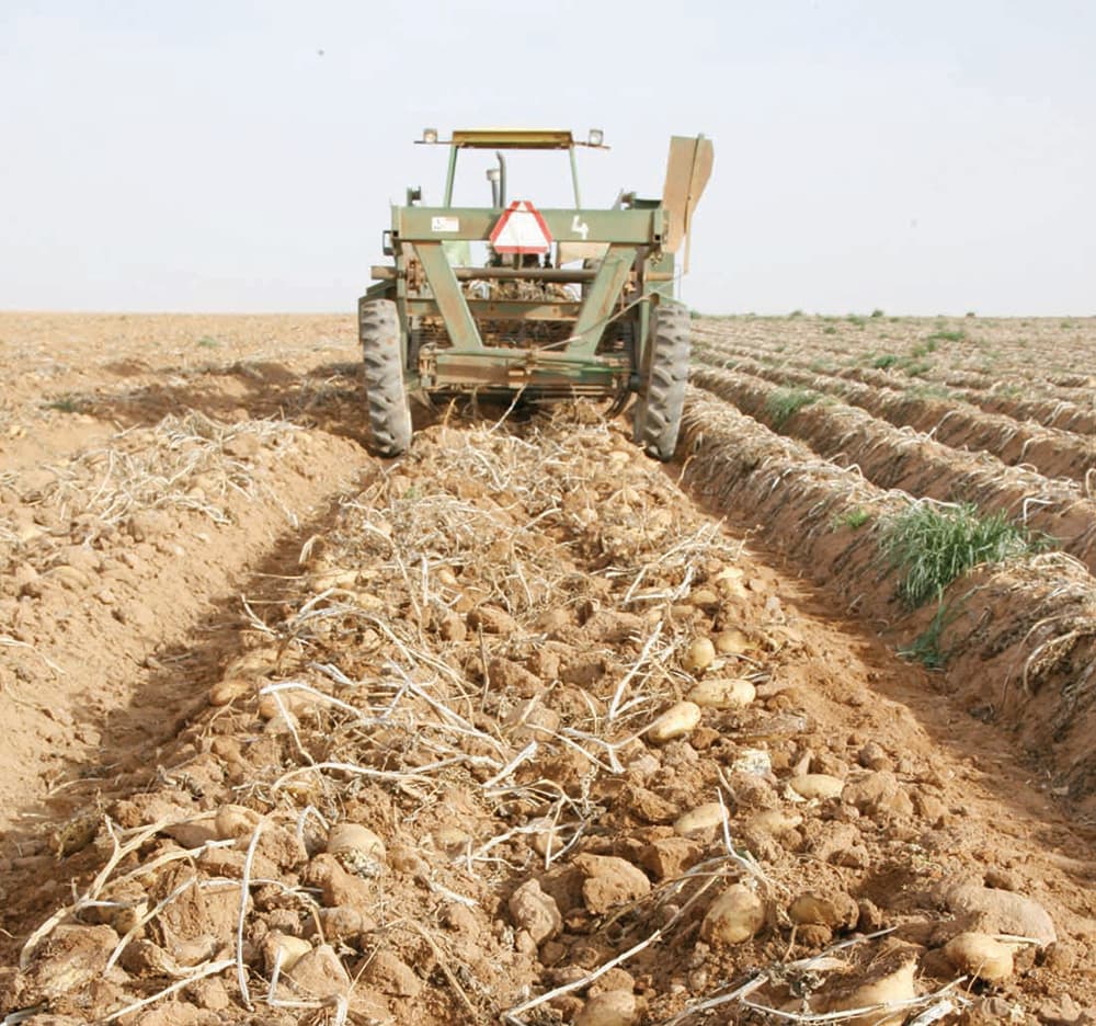 198 مليون ريال قروضا زراعية في «الشرقية» خلال 2014