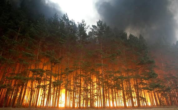 القنصلية السعودية : لا إصابات بين السعوديين جراء حرائق كاليفورنيا