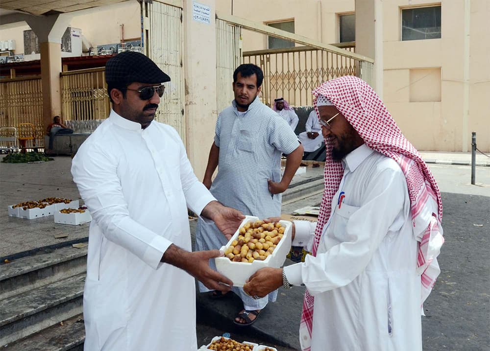 حرارة الطقس تعجل جني التمور في المدينة المنورة