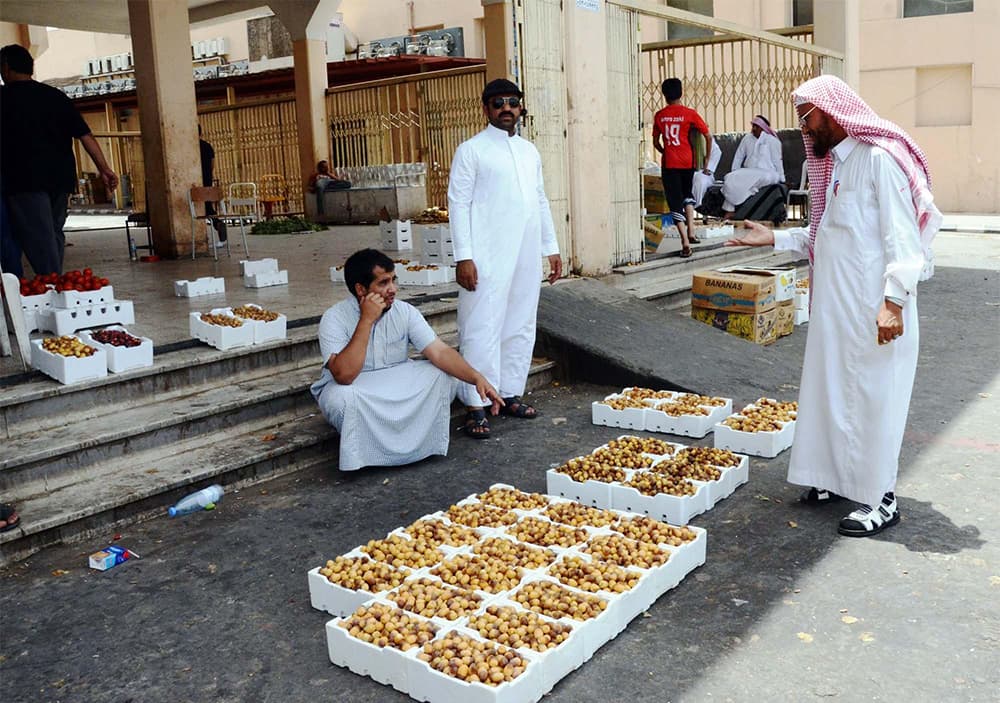 حرارة الطقس تعجل جني التمور في المدينة المنورة
