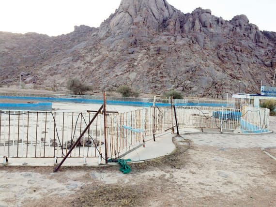 «مشار» .. من قرية سياحية إلى مرتع للحيوانات الضالة