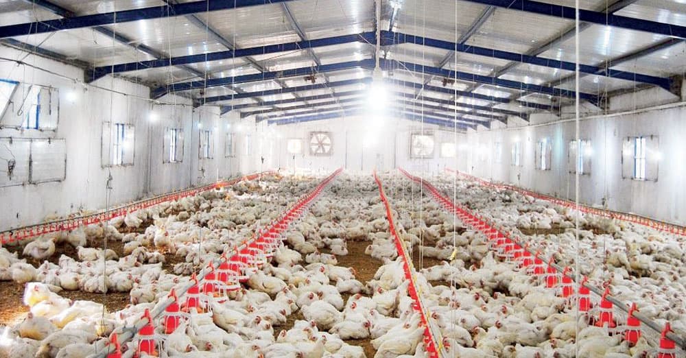 1.8 مليار ريال تمول مشاريع زراعية خلال 5 سنوات