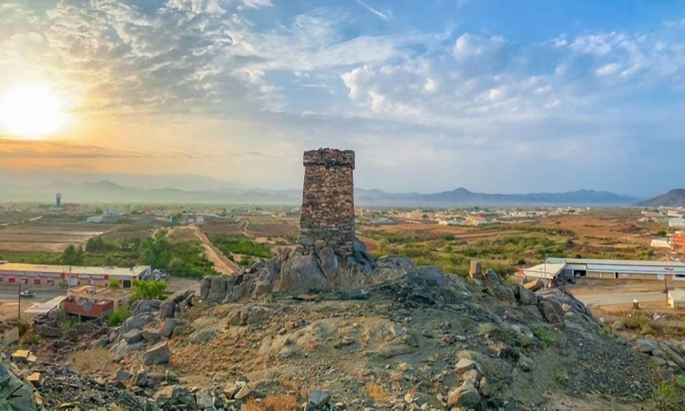 تشتهر المحافظة بإنتاج العسل الأصلي الذي يقام له مهرجان سنوي."واس"