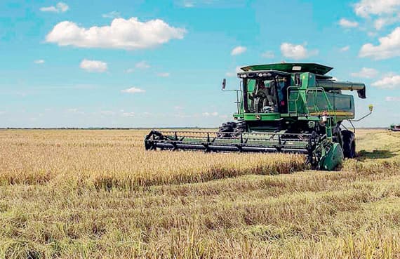 «سالك» تقترب من صفقة استحواذ
بـ 40 مليار ريال خلال أسبوعين