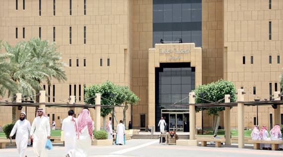 عدد القضايا الجنائية التي استقبلتها المحاكم نحو 19 ألف قضية. "الاقتصادية"