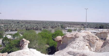 "واحة الأحساء".. سادس عجائب الدنيا