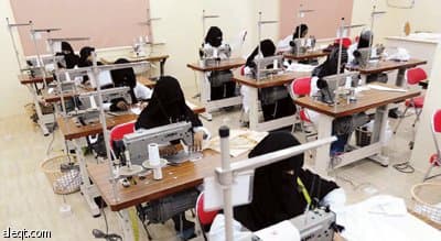 قاعدة بيانات تكفل حصول المنشآت الصغيرة على التمويل