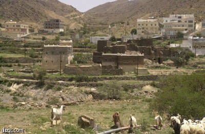 أكثر من مليوني سائح حجم التدفق السياحي على منطقة عسير في العام الماضي