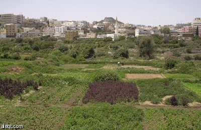 أكثر من مليوني سائح حجم التدفق السياحي على منطقة عسير في العام الماضي