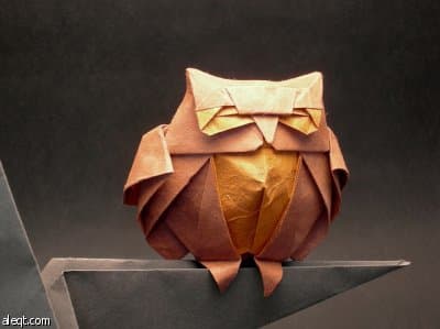 جوجل يبحث عن المناسبات لتغيير شعاره