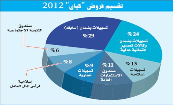 ارتفاع ديون «كيان» إلى ضعف رأسمالها يُفاقم خسائرها في 2012