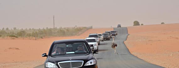 الملك يوجّه بتنفيذ توسعة المسجد النبوي خلال سنتين
