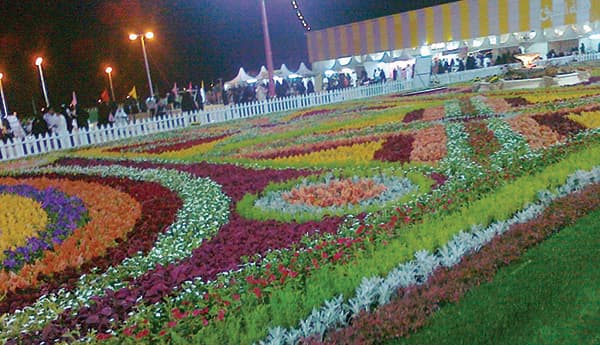 «أرياف الطائف» تضخ 80 منتجا نباتيا عطريا للأسواق خلال عام