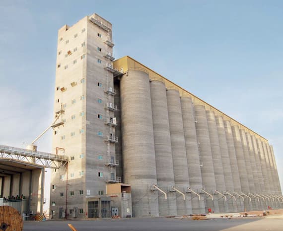 «الصوامع» ترفع مشترياتها من القمح المستورد
إلى 3 ملايين طن هذا العام