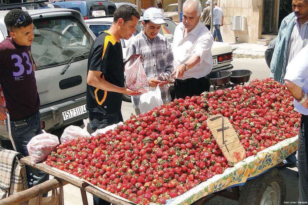 المغرب تتجاوز انعكاسات «الربيع العربي» وتتجه نحو الازدهار