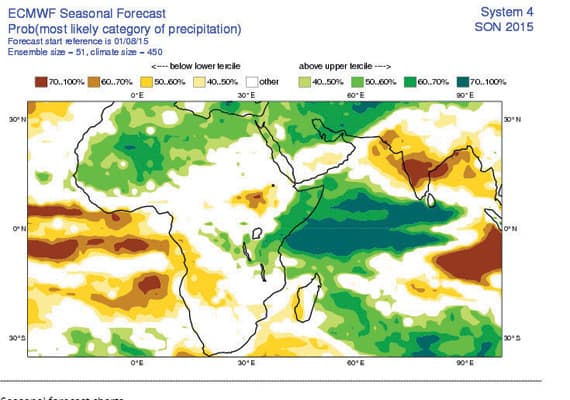 طقس شديد الحرارة يسبق ظهور نجم سهيل في 24 أغسطس الجاري