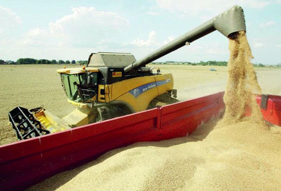 6 شركات عالمية تورد 805 آلاف طن قمح بـ 174.6 مليون دولار