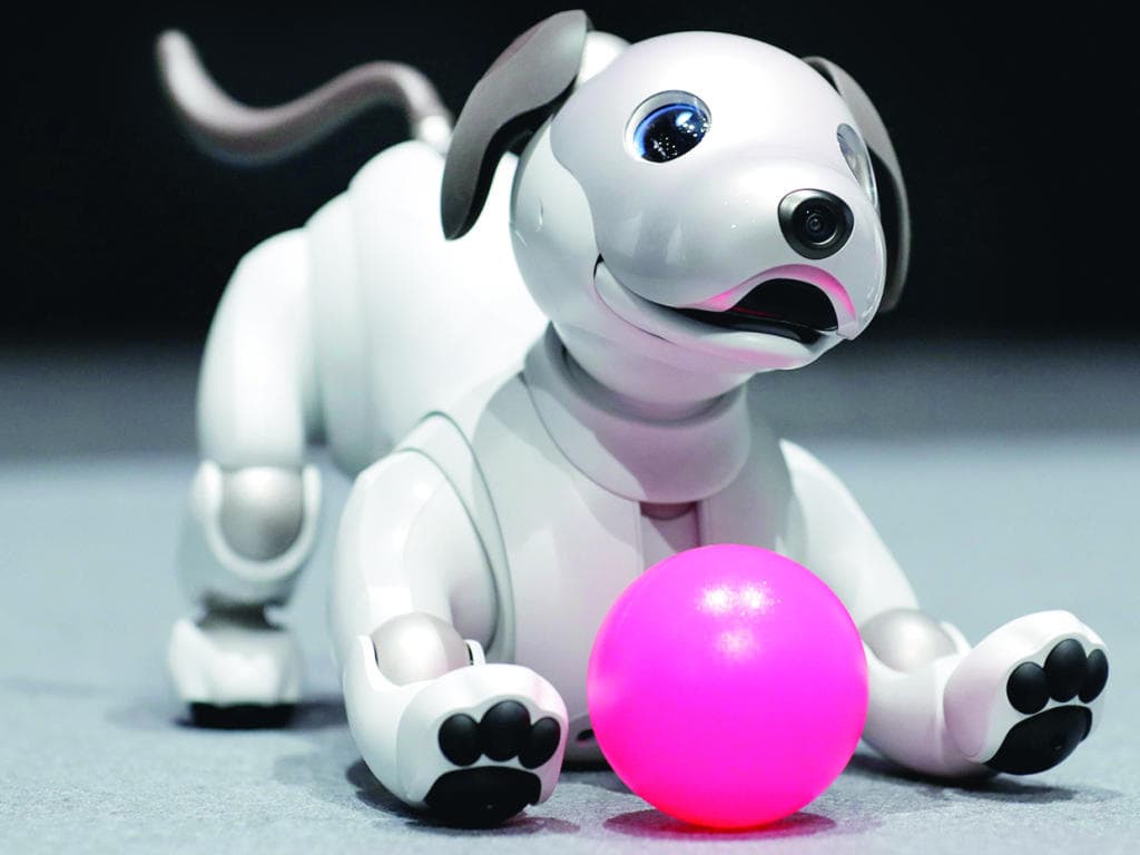 «سوني» تلتمس استعادة المجد بإحياء روبوت آيبو