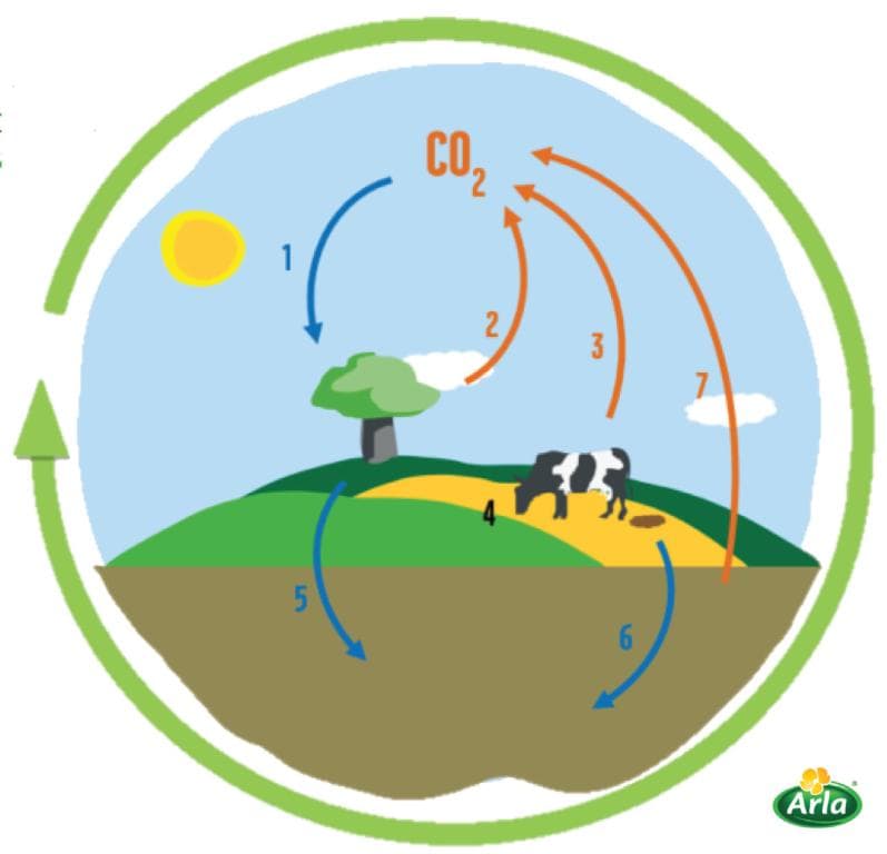 إنقاذ الأرض يتطلب تطهير الجو من «الكربون»