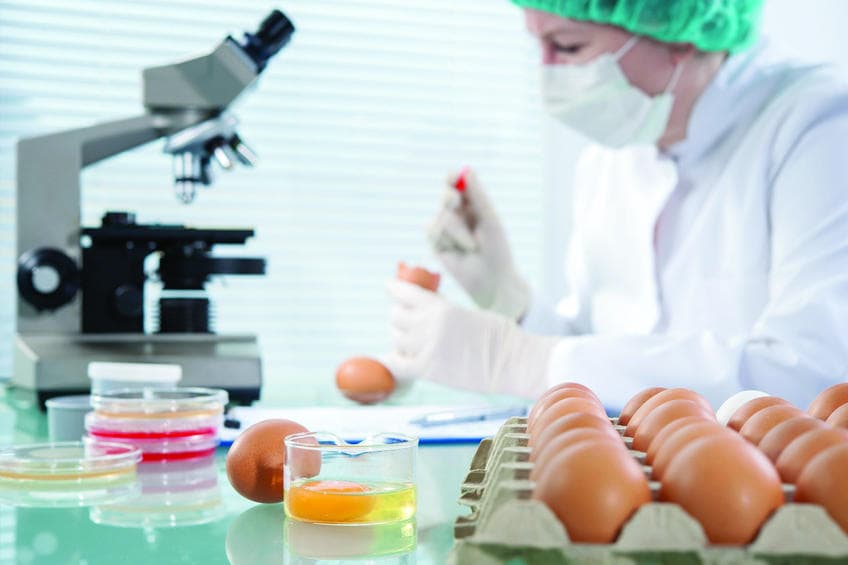 مصير الأغذية ذات «الجينوم» المحرر على المحك