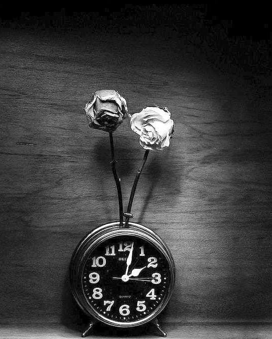 في ذم العجلة .. مرحبا بحياة التأني