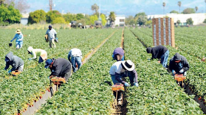 الصين تعرض شراء منتجات زراعية أمريكية إضافية بنحو 10 مليارات دولار