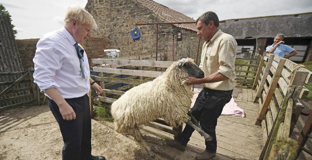 العد التنازلي لـ «بريكست» يزيد الضغط على مزارعي بريطانيا