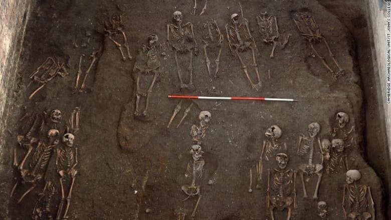 حلل الباحثون في المملكة المتحدة 143 هيكلا عظميا.