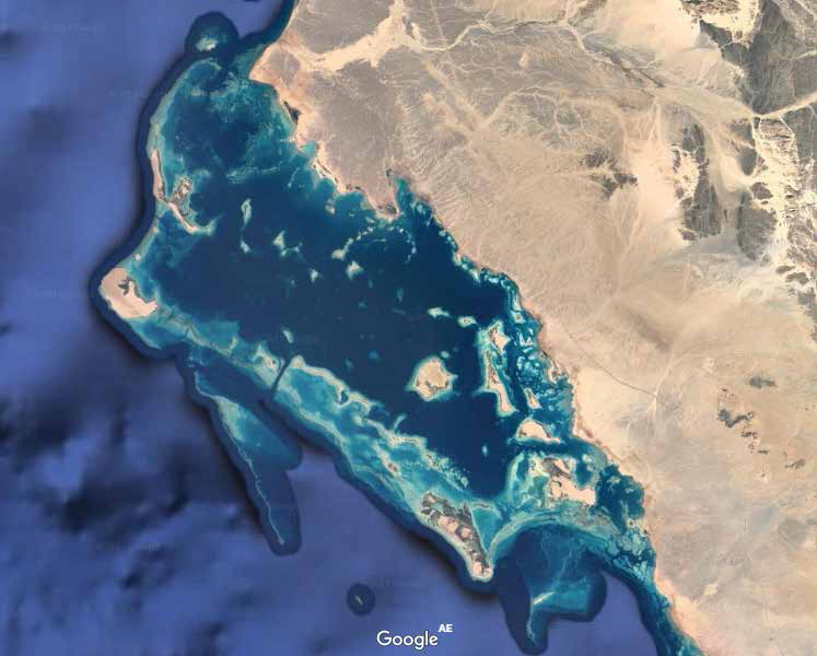 بحث عن مشروع البحر الاحمر