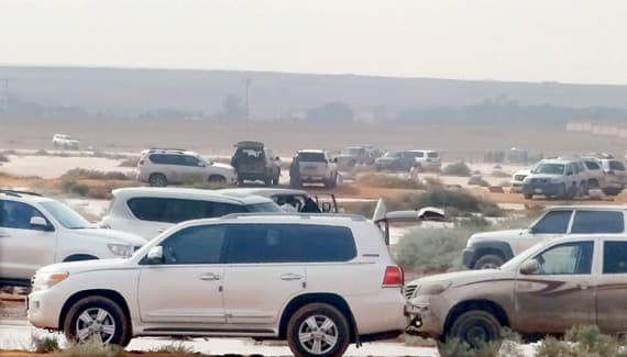 روضة أبا الورود .. موطن لأعشاب الرشاد والبابونج والثعلوق