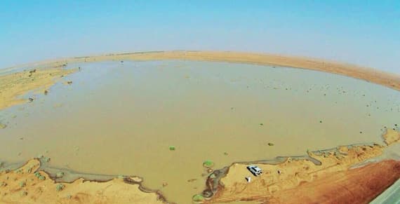 روضة أبا الورود .. موطن لأعشاب الرشاد والبابونج والثعلوق
